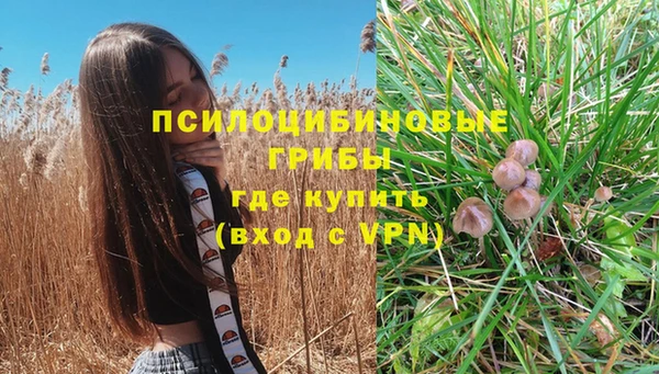 кокаин Бородино