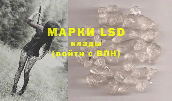 мдпв Богданович